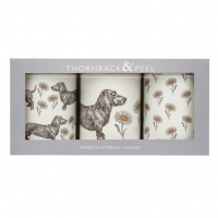 Dog & Daisy Print Set of 3 Caddies By Thornback & Peel